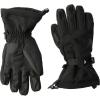 Gordini Men’s Fall Line Iv Waterproof Insulated Gloves(Black)