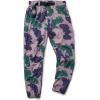 Mountain Hardwear Women’s Stryder Jogger(Blue Pine Blissed Dye Print)