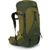 Osprey Atmos AG LT 65L Men’s Backpacking Backpack, Scenic Valley/Green Peppercorn, L/XL(Scenic Valley/Green Peppercorn)