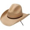 Stetson Men’s Bryce Straw Hat(Natural)