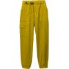 prAna Women’s Stretch Zion E-Waist Joggers(Golden Leaf)