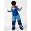 Helly-Hansen Kids Unisex Rider 2 Insulated Waterproof Windproof Breathable Bib Ski Pants(625 Blue Fog)