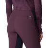 Mountain Hardwear Womens Chockstone Tight(Blackberry – New 2024)