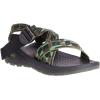 Chaco Men’s Zcloud 2 Sandals(Askew Hunter)