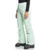 Roxy Diversion Womens Snowboard Pants(Cameo Green)