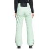 Roxy Diversion Womens Snowboard Pants(Cameo Green)