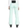 Roxy Diversion Womens Snowboard Pants(Fair Aqua (Bdy0))