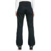 Roxy Diversion Womens Snowboard Pants(True Black)