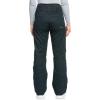 Roxy Women’s Diversion Snow Pants with DryFlight Technology, True Black, Small