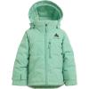 Burton Toddlers’ Spindal 2L Jacket(Soft Sage)