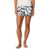 Mountain Hardwear Women’s Standard Stryder Swim Short(Blue Horizon Zebra Tie Dye)