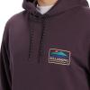 Billabong Men’s Compass Pullover Hoodie(Fig)