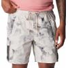 Columbia Men’s Painted Peak Short(Dark Stone Pearhip Print  Sunkissed)