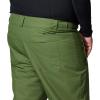 Columbia mens Bugaboo V Pant(Canteen)