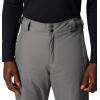 Columbia mens Bugaboo V Pant(City Grey)