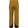 Flylow Men’s Chemical Pant – Waterproof Breathable Ski & Snowboard Pants(Rye/Rye)