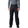 Columbia mens Bugaboo V Pant(Black)