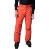 Columbia mens Bugaboo V Pant(Zing)