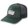 Dakine Unisex-Adult MTN Lines Trucker(Green)