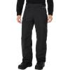 Flylow Men’s Snowman Synthetic Insulated Waterproof Breathable Ski & Snowboard Pant(Black 2)