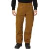 Flylow Men’s Snowman Synthetic Insulated Waterproof Breathable Ski & Snowboard Pant(Rye 1)