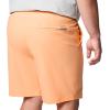 Columbia Men’s PFG Rambler Water Short(Bright Nectar)