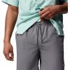 Columbia Men’s PFG Rambler Water Short(City Grey)