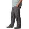 Columbia Mens Silver Ridge Utility Convertible Hiking Pant(City Grey)