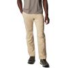 Columbia Mens Silver Ridge Utility Pant(Ancient Fossil)