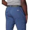 Columbia Mens Silver Ridge Utility Pant(Dark Mountain)