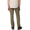Columbia Mens Silver Ridge Utility Pant(Stone Green 2024)