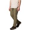 Columbia Mens Silver Ridge Utility Pant(Stone Green 2024)