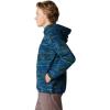 Mountain Hardwear mens Microchill™ Hoody(Dark Caspian Stria Print)