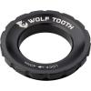 Wolf Tooth Centerlock Rotor Lockring Silver(Low Silver)