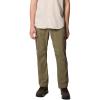 Columbia Mens Silver Ridge Utility Pant(Stone Green 2024)