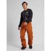 Burton Men’s Cargo Snow Pant Regular Fit(True Penny)
