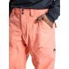 Burton Mens Gore-tex Ballast Pant(Pink)