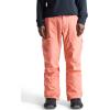 Burton Mens Gore-tex Ballast Pant(Pink)
