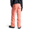 Burton Mens Gore-tex Ballast Pant(Pink)