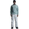 Burton Mens Gore-tex Ballast Pant(Stout White)