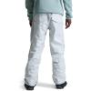 Burton Mens Gore-tex Ballast Pant(Stout White)