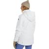 Burton Womens Jet Ridge Jacket(Stout White)