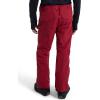 Burton unisex-adult Men’s Covert Insulated Pants 2.0(Deep Red)