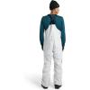 Burton unisex-adult Men’s Reserve Gore-tex Bib Pants(Stout White)