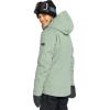 Roxy womens Presence Parka Jacket – 15k Waterproof, Insulated Ski Jacket, Pfas-free, Hydrosmart Technology(Lily Pad)