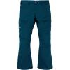 Burton Mens Gore-tex Ballast Pant(Green)