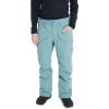 Burton unisex-adult Men’s Covert Insulated Pants 2.0(Rock Lichen)