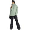 Roxy womens Presence Parka Jacket – 15k Waterproof, Insulated Ski Jacket, Pfas-free, Hydrosmart Technology(Lily Pad)