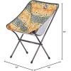Big Agnes Mica Basin Chair- Ultralight, Portable Chair for Camping and Backpacking(Brown Trout)
