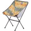 Big Agnes Mica Basin Chair- Ultralight, Portable Chair for Camping and Backpacking(Brown Trout)